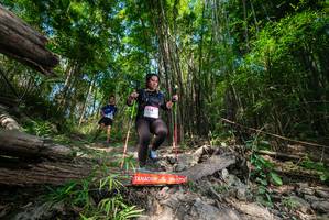 BIB: 
                            <button type="button" onclick="openModal(19388583)" class="btn btn-primary btn-sm float-right btn-popup" data-toggle="modal" data-target=".modal-high-quality">
                        <i class="fas fa-shopping-cart"></i> Add to Cart
                    </button>
                                            <button type="button" onclick="isThisMe(19388583, true)" class="btn btn-success btn-sm float-right btn-popup btn-isme hidden" data-toggle="tooltip" data-placement="bottom" title="นี่คือรูปของคุณใช่ไหม คลิกที่นี่เพื่อเอาเข้าอัลบั้ม">
                        <i class="fas fa-plus"></i> Add to album
                    </button>
                    <button type="button" onclick="isThisMe(19388583, false)" class="btn btn-warning btn-sm float-right btn-popup btn-isnotme hidden">
                        <i class="fas fa-ban"></i> Remove from album
                    </button>